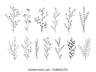 Set of botanical line art floral leaves, plants. Hand drawn sketch branches isolated on white background. Vector illustration