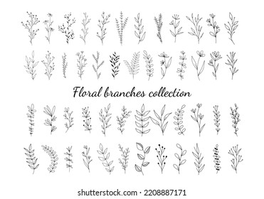 Set Of Botanical Line Art Floral Leaves, Plants. Hand Drawn Sketch Branches Isolated On White Background. Vector Illustration