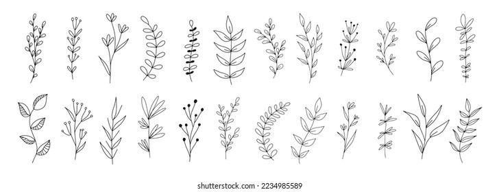 Set of botanical line art floral leaves, plants. Hand drawn sketch branches isolated on white background. Vector illustration