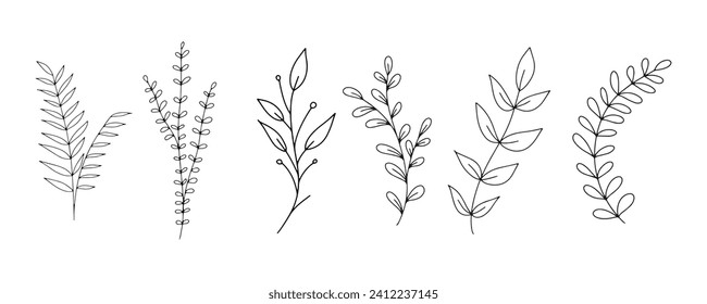 Set of botanical line art floral leaves, plants. Hand drawn sketch branches isolated on white background. Vector illustration	