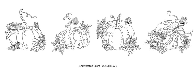 Set of botanical linear sketches, coloring pages of pumpkin, sunflower flowers, autumn leaves and butterflies. Vector graphics.