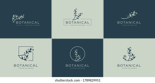 Set of botanical logo design collection, beauty, luxury, collection, health, nature Premium Vector