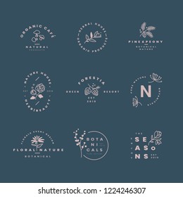 Set of botanical logo design vectors