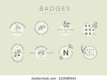Conjunto de vectores de diseño de logotipo botánico