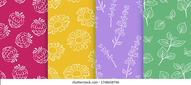 Set of botanical outline seamless pattern. Vector contour of berry, herb and flowers on bright color background.