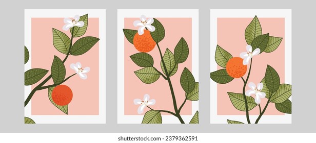 Eine Reihe botanischer Bilder. Zweige von Orangen, Blumen und Blättern. Moderner, minimalistischer Stil. Blumenplakate für Tapeten, Drucke, Karten, Einladungen	