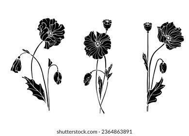 Set of botanical silhouettes of poppy field flower.Vector graphics.
