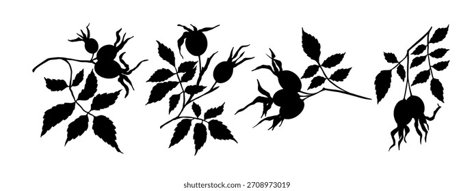 A set of botanical silhouettes of rosehip branches with berries. Vector graphics.