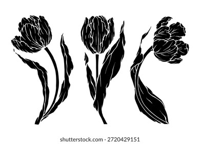 Conjunto de siluetas botánicas de flores de tulipán de primavera. Gráficos de Vector.