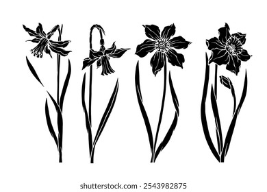 Set of botanical silhouettes, stamps of spring daffodil flower. Vector graphics.