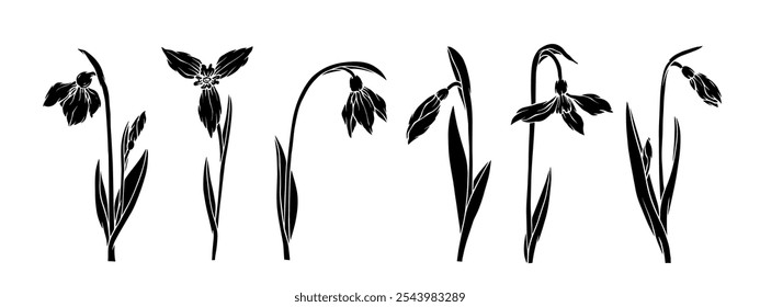 Conjunto de siluetas botánicas, sellos de flores de primavera y gota de nieve. Gráficos de Vector.