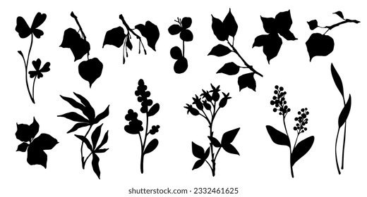 Conjunto de siluetas botánicas de diversas ramas con hojas, hierbas, bayas. Gráficos vectoriales.