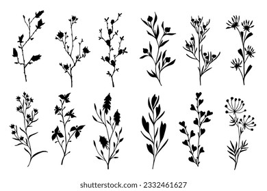 Set of botanical silhouettes of various branches with leaves, herbs,berries. Vector graphics.