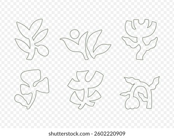 Set of botanical in simple linear hand drawn style. Plant hand drawn vector illustration.