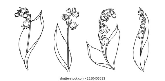 Conjunto de esboços botânicos de flores da primavera e lírio dos botões do vale. Gráficos vetoriais.