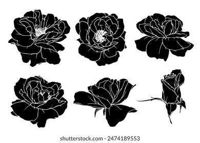 Set of botanical stamps, silhouettes of flowers and rose buds.Vector graphics.