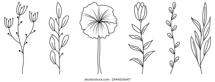Set of botanical tropical leaf and flowers. Vector illustration isolated on white background

