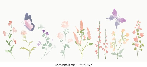 Conjunto de elementos vectoriales botánicos. Colección de mariposa, flores, flores silvestres, hoja dibujada a mano. Diseño de ilustraciones de jardín floral acuático para logo, boda, invitación, decoración, impresión.