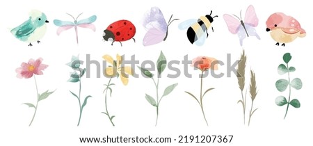 Set of botanical vector element. Collection of bird, butterfly, dragonfly, honey bee, flower, wildflowers, leaf, ladybug. Watercolor garden illustration design for logo, wedding, invitation, decor.