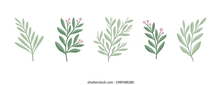 Set of botanical vector elements. Hand drawn illustration with leaves and plants.  Floral ornaments for card, logo design, print fashion.