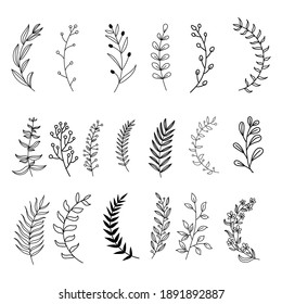 Set of Botanical Vector Elements, tropical leaves and flower on white background. Hand drawn style - Vector Illustration