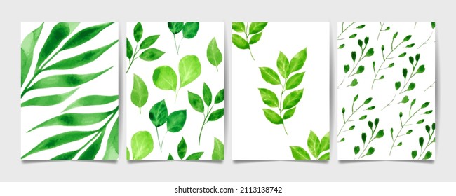 Set of botanical watercolor compositions