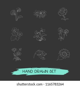 Set of botany icons line style symbols with buttercup, carnation, viola and other icons for your web mobile app logo design.