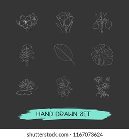 Set of botany icons line style symbols with apple leaf, tulip, orchids and other icons for your web mobile app logo design.