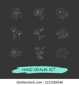 Set of botany icons line style symbols with chamomile, periwinkle, aster and other icons for your web mobile app logo design.