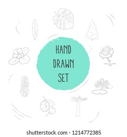 Set of botany icons line style symbols with baobab, tropical leaf, spruce and other icons for your web mobile app logo design.