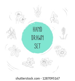 Set of botany icons line style symbols with courgette, chestnut leaf, arum lily and other icons for your web mobile app logo design.