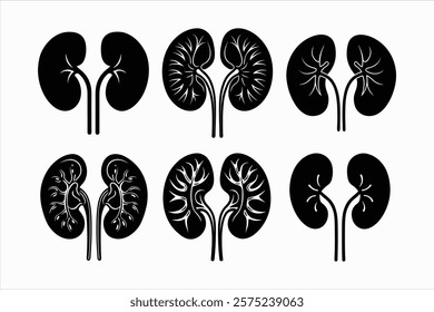 Set of both kidneys in human vector illustration