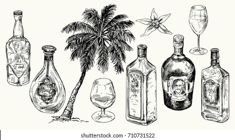 Set Bottle For Rum. Vector Hand Drawn Illustration.