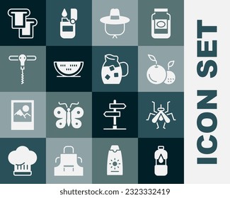 Set Bottle of water, Mosquito, Fruit, Camping hat, Watermelon, Wine corkscrew, Bread toast and Jug glass with icon. Vector