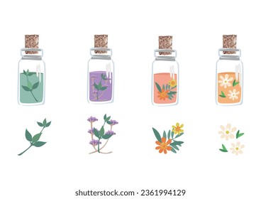 A set of bottles with medicinal herbs, aromatic oils and herbal tinctures. Herbal medicine. Alternative medicine. Isolated vector illustration for advertising, flyers and social networks.