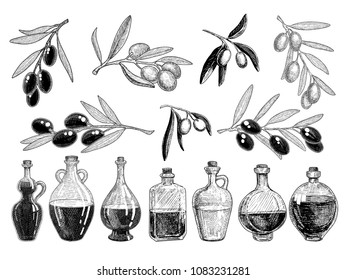 Set bottles of olive oil and an olive branches, ink sketch vector isolated on white. 