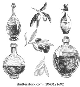 Set of bottles of olive oil and olive tree branches with fruits. Hand drawn sketch. Vector illustration.