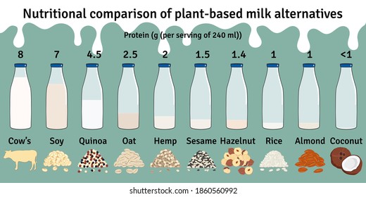 Set of bottles with plant-based milk. Vegan milk protein infographic. Almond, soy, rice, coconut, hazelnut, oat, sesame, hemp, quinoa milk. Milk alternatives. Hand drawn vector illustration.
