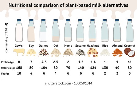 Set of bottles with plant-based milk. Vegan milk protein infographic. Almond, soy, rice, coconut, hazelnut, oat, sesame, hemp, quinoa milk. Milk alternatives. Hand drawn vector illustration.