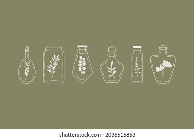 A set of bottles with rosemary, eucalyptus, olive, lavender, sea buckthorn. Essential oils from different herbs.