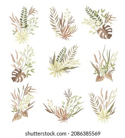 Set of bouquet with dried plants and flowers in taupe, dusty pink, brown, ivory colors for your own design vector illustration