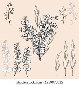 Set of bouquet  and individual branches with leaves for design or coloring. Hand drawn black and white vector illustration.