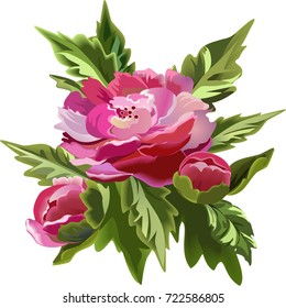 Set bouquet of peonies, vector