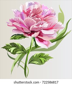 Set bouquet of peonies, vector