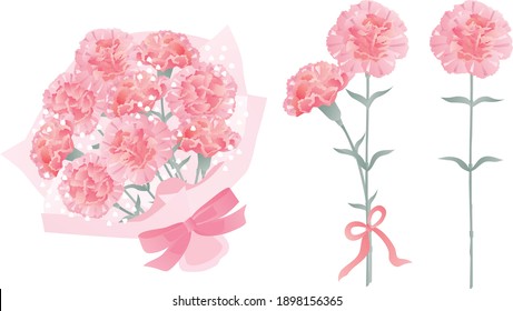 Set of bouquet of pink carnation of Mother's Day