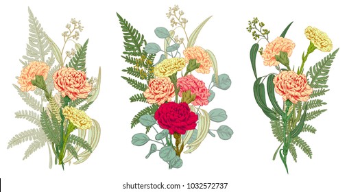 Set of bouquets carnation, fern, eucalyptus silver dollar, seeded: red, pink, yellow flowers, leaves, white background for Mother's Day, hand draw, engraving vintage sketch style, botanical vector