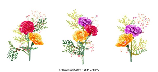 Set bouquets of carnation. Purple, yellow, red, orange flowers, gypsophile, thuja twigs, white background. Illustration for Mother's Day. Bright floral design watercolor style, panoramic view, vector