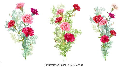 Set bouquets carnation schabaud, pink, white, red flowers, green leaves, twigs asparagus, white background, card for Mother's Day, Victory day, digital draw, illustration in watercolor style, vector