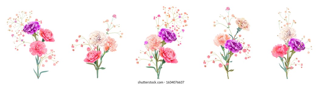 Set bouquets of carnation. White, pink, red, purple flowers, gypsophile twigs, white background. Illustration for Mother's Day, gentle light floral design, watercolor style, panoramic view, vector