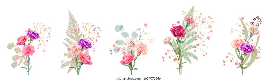 Set bouquets of carnation. White, pink, red, purple flowers, gypsophile twigs, fern, eucalyptus leaves, white background. Gentle light floral design, watercolor style, panoramic view, vector